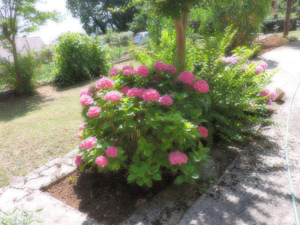 Apartment Bambi Opatija Luaran gambar